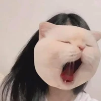 Y/n