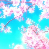 tác giả - Yamasawa