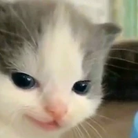 TÁC GIẢ Gió liên