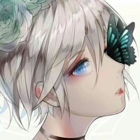 Hồ Điệp - Butterfly