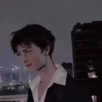Harry Potter  ⚡