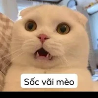Tác Giả Slenderlena