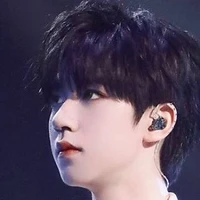 Hạ Tuấn Lâm