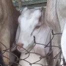 đặt tên đàng hoàng đi mấy má !