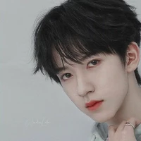 Hạ Tuấn Lâm