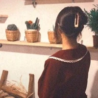 Hạ An Ly