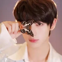Đinh Trình Hâm