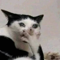 tác giả tên Mấm Tôm 🐸👉👈