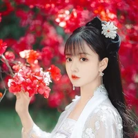 Kim Tấn / Quận Chúa