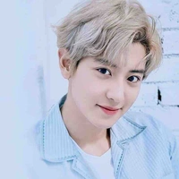 Park ChanYeol ( anh trai cô )