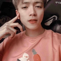 Hoài Việt
