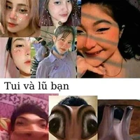 All tất cả m.n
