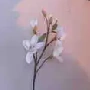 phục vụ