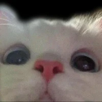 All