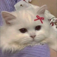 Tác giả mặn mòi :>
