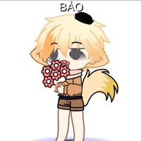 bảo