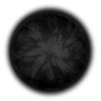 VelNoir