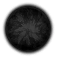 VelNoir