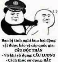 Tác giả:“chủng bị quay xe nhoa”