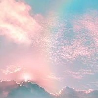 Các anh và các cô