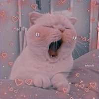 tác giả cute