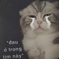 Tác giả