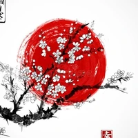 Đ.E: BLOSSOM