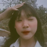 Vương Tiểu Hồng(tác giả)