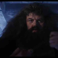 Bác hagrid