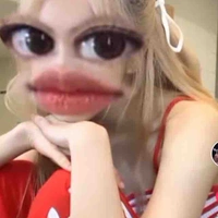 Y/N