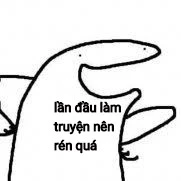 Y/N