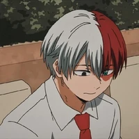 shoto Todoroki
