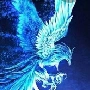 phượng hoàng nước của sam sam
