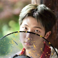 Namjoon (papa Kook)