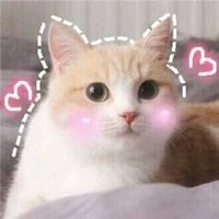 Miêu Miêu