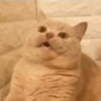 Cả lớp