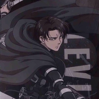 Levi
