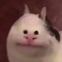 Éc wỷ xênh đẹp quyến rũ😏💅🏻