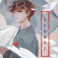 Georgenotfuond