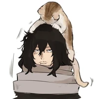 Aizawa sensei