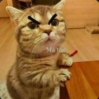 Tác giả