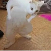 bà tác giả ( tác giả phụ )