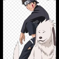 Kiba