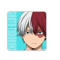 todoroki shoto