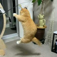 Tác giả