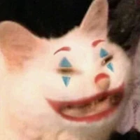 Zyy xênh đẹp nhứt