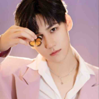 Trương Chân Nguyên 