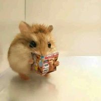 Tác giả(gọi mình là ly nha)