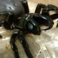 bé nhỏ