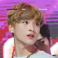Lee haechan ( chan- jungle)